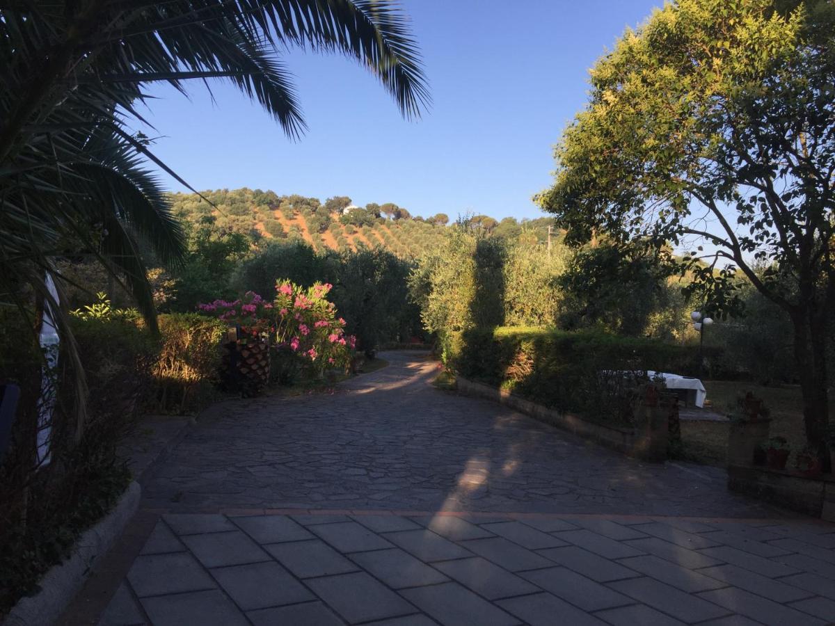 Agriturismo Buen Camino Scarlino Kültér fotó
