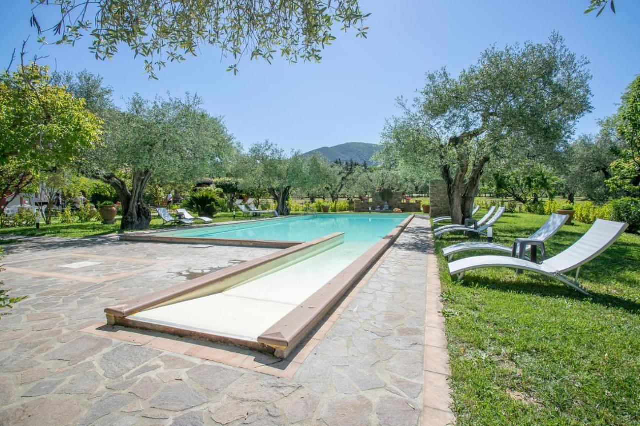Agriturismo Buen Camino Scarlino Kültér fotó