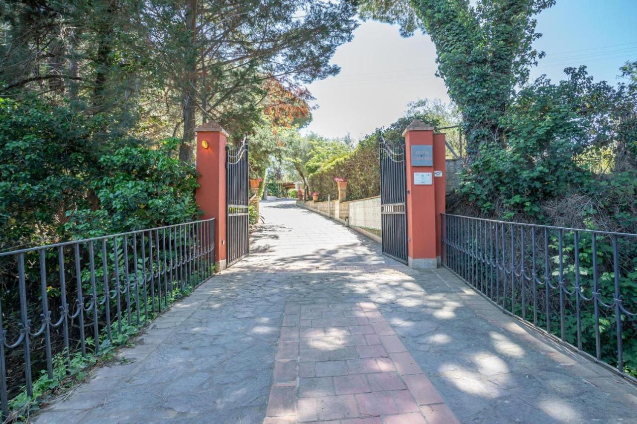 Agriturismo Buen Camino Scarlino Kültér fotó