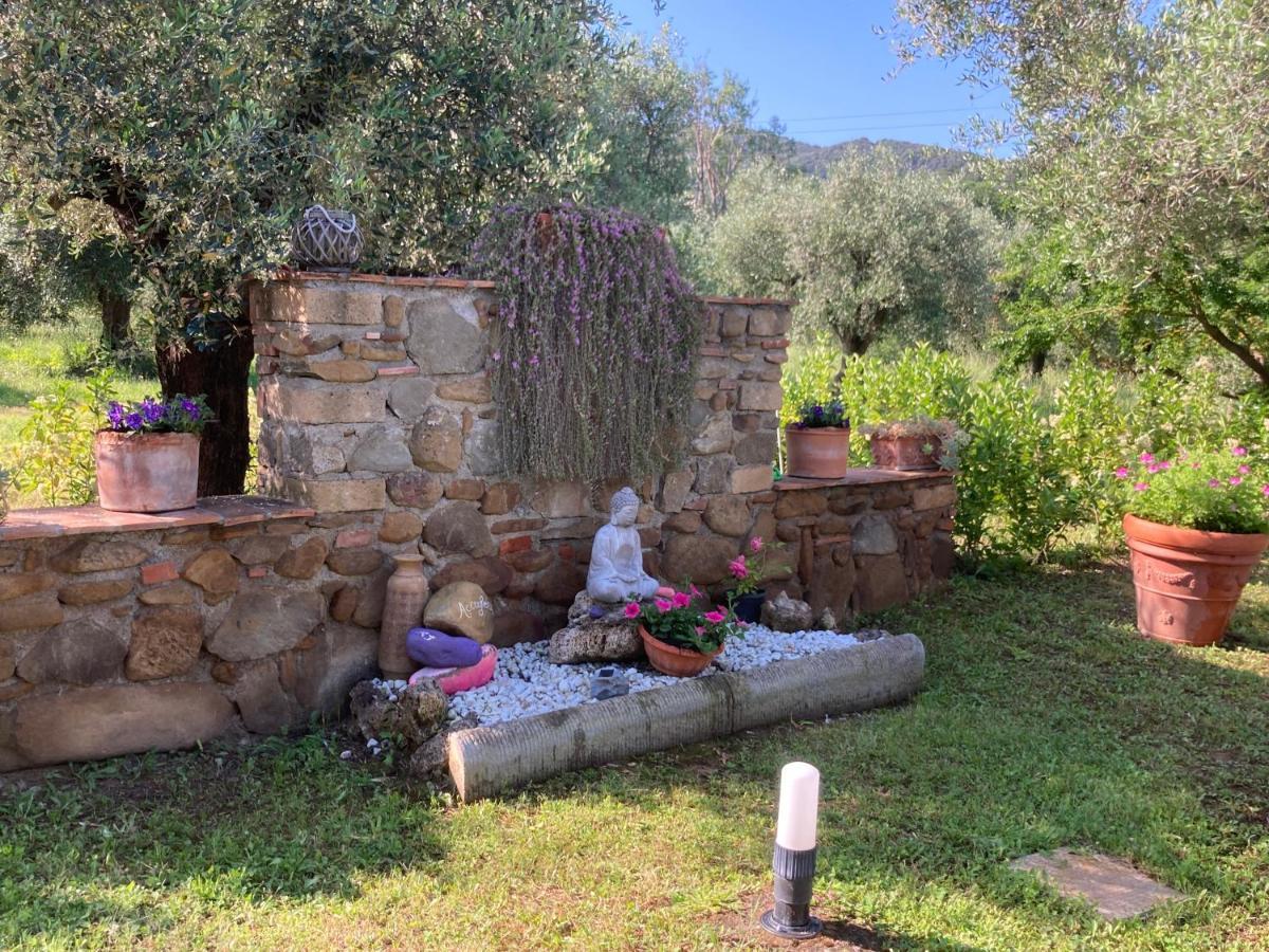 Agriturismo Buen Camino Scarlino Kültér fotó