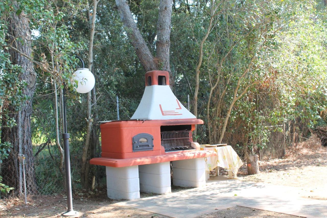 Agriturismo Buen Camino Scarlino Kültér fotó