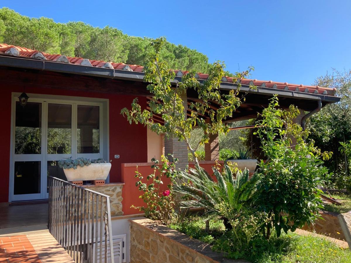 Agriturismo Buen Camino Scarlino Kültér fotó
