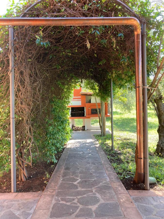 Agriturismo Buen Camino Scarlino Kültér fotó